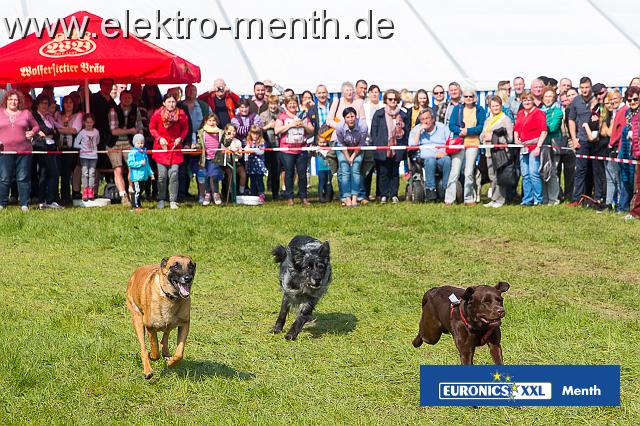 D - Foto Laudi Samstag -8139.JPG